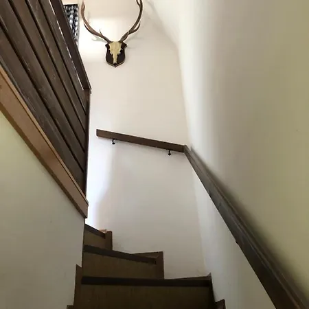 بيت للعطل Haus Max *